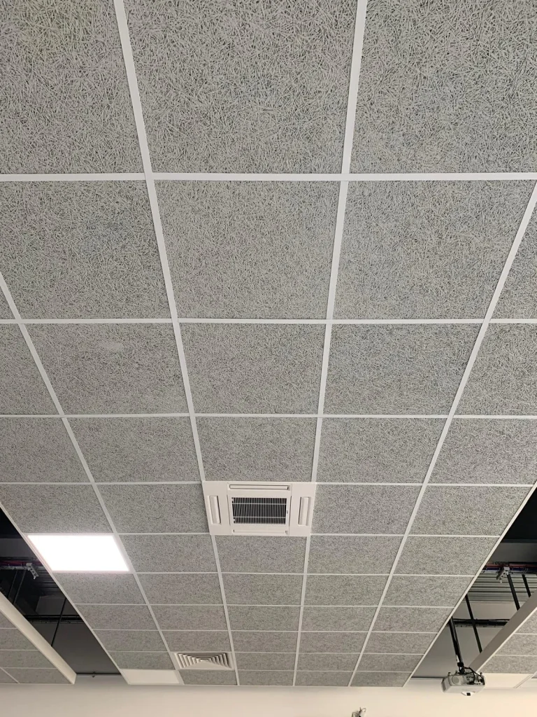 Suspended Ceiling Contractor
